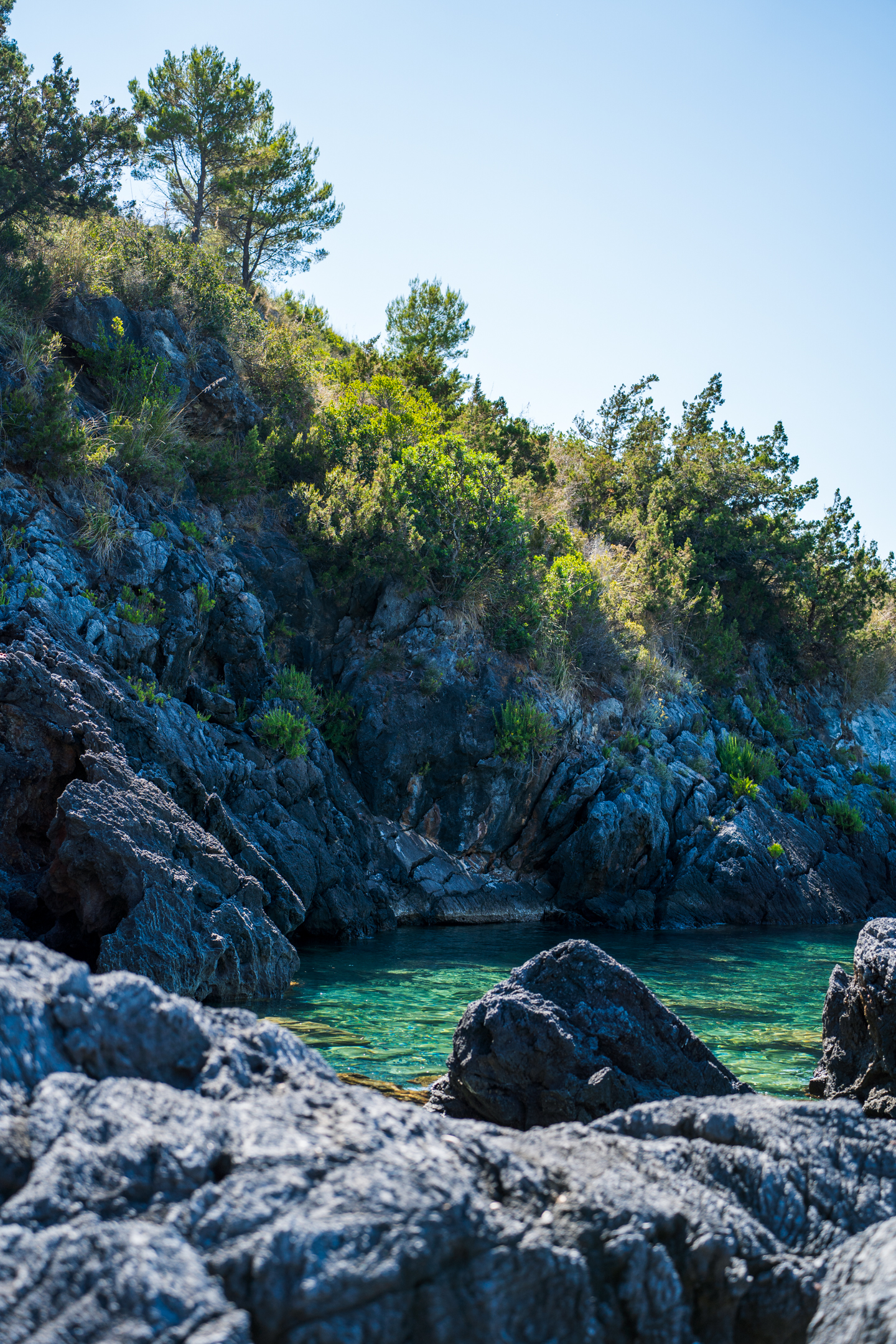Macchia mediterranea sulla costa di San Nicola Arcella
